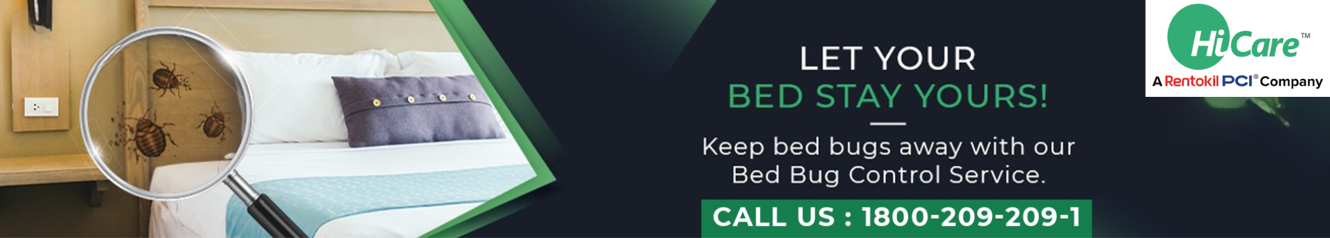 Bed Bugs Pest Control