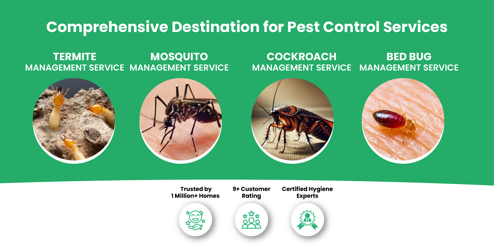 Pest Control